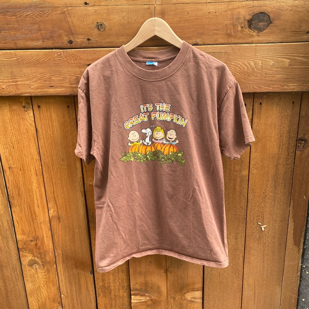 Vintage Charlie Brown mounted collar tee